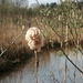 1 APRIL 2012 034