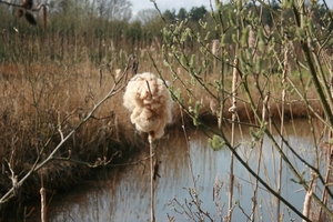 1 APRIL 2012 034