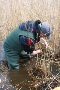 11 april 2012 sternvlonders 010