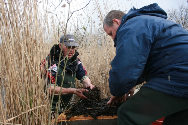 11 april 2012 sternvlonders 013