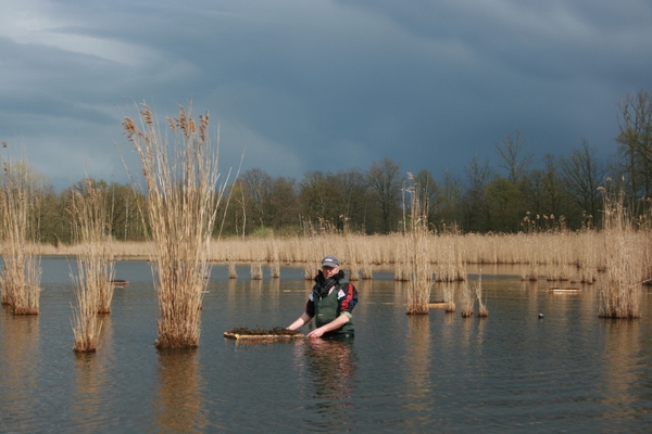 11 april 2012 sternvlonders 015