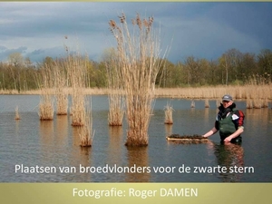 Zwarte stern