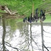 DSCN0499