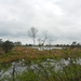 DSCN0507