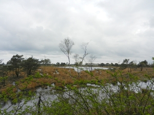 DSCN0507