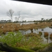 DSCN0509