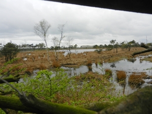 DSCN0509