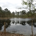 DSCN0511