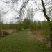 DSCN0513