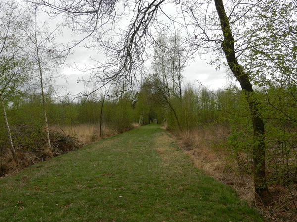 DSCN0513
