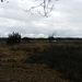 DSCN0530