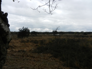 DSCN0530