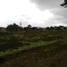 DSCN0531