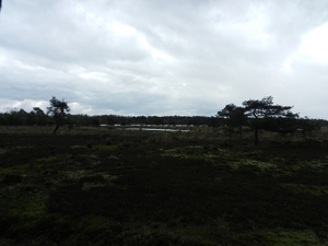 DSCN0532