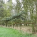 DSCN0533