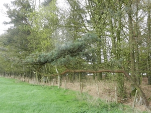DSCN0533