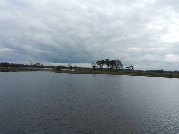 DSCN0534