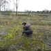 DSCN0538