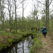 DSCN0542