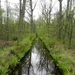 DSCN0543