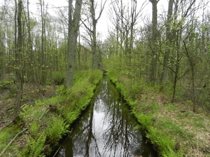 DSCN0543