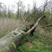DSCN0546