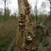 DSCN0547