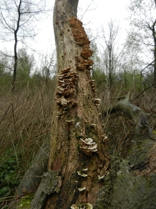 DSCN0547