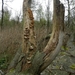 DSCN0548