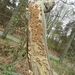 DSCN0549