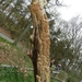 DSCN0550