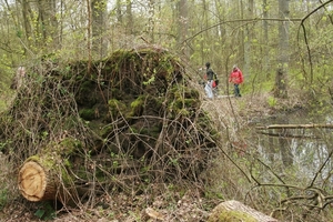 TURNHOUTSE VENNEN APRIL 2012 019