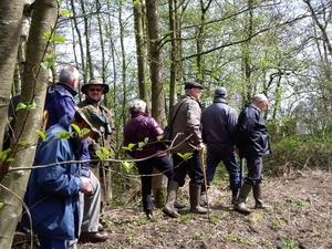 Den Bunt Frans Segersreservaat Turnhout 008