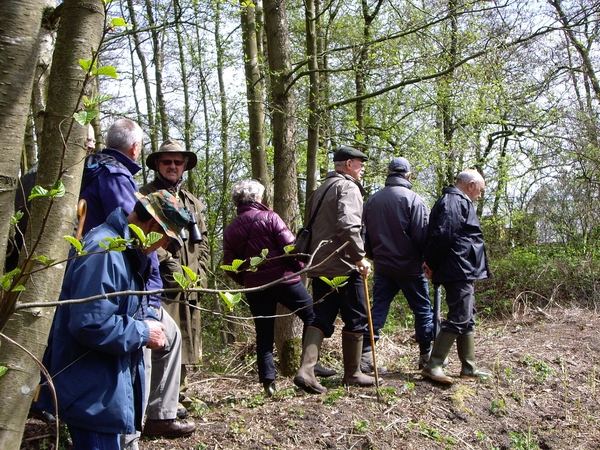 Den Bunt Frans Segersreservaat Turnhout 008