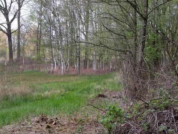 Den Bunt Frans Segersreservaat Turnhout 009