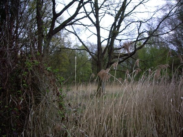 Den Bunt Frans Segersreservaat Turnhout 016