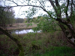 Den Bunt Frans Segersreservaat Turnhout 019