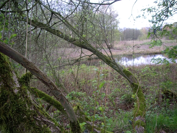 Den Bunt Frans Segersreservaat Turnhout 020