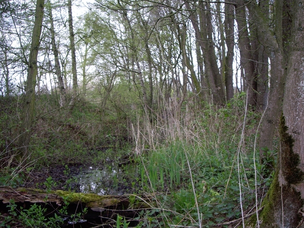Den Bunt Frans Segersreservaat Turnhout 022