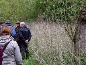Den Bunt Frans Segersreservaat Turnhout 036