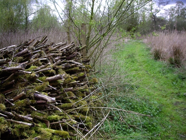 Den Bunt Frans Segersreservaat Turnhout 039