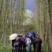 Den Bunt Frans Segersreservaat Turnhout 046