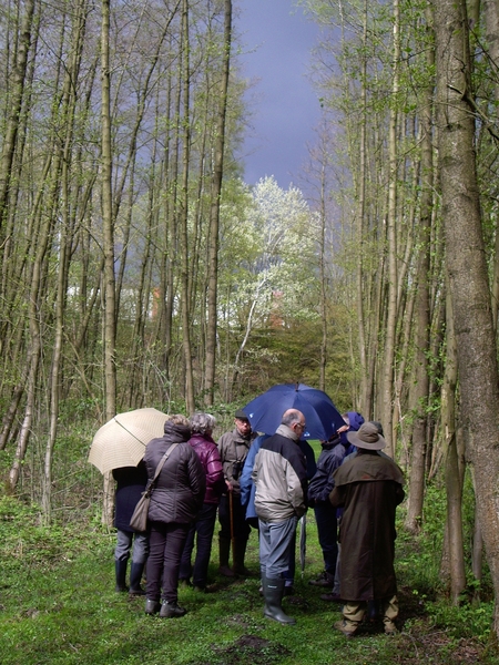 Den Bunt Frans Segersreservaat Turnhout 046