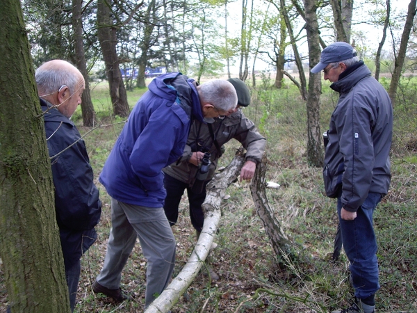 Den Bunt Frans Segersreservaat Turnhout 051