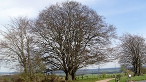 P1310498