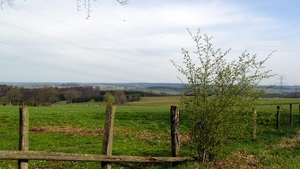 P1310501