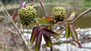 P1310536