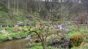 P1310540
