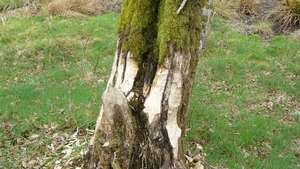 P1310564