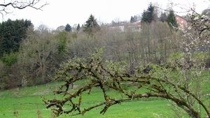 P1310593